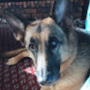 Meet your Posher, Ben